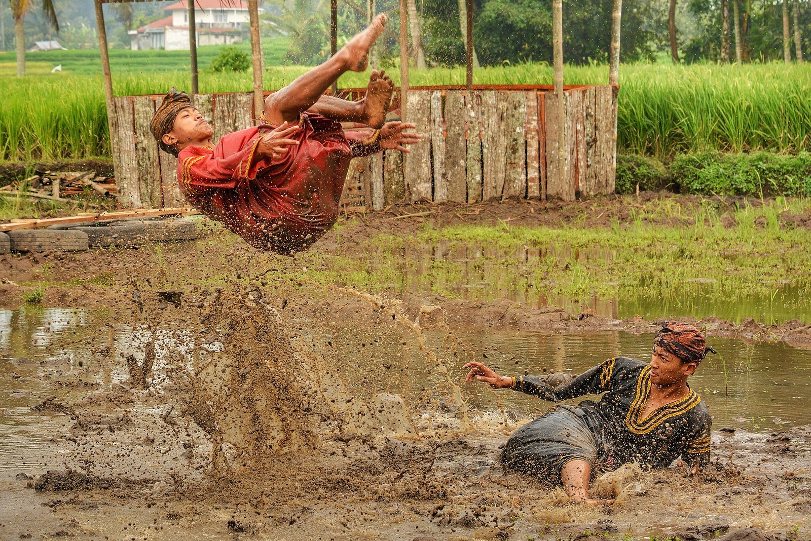 The powerful martial arts in Indonesia 1 Silek lanyah, traditional martial arts of the Minangkabau people in West Sumatra, Indonesia. Silek lanyah is always performed in a muddy paddy field. Taken I 2020.
